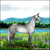 Horse Color:Gray Midnight Silver Black Ice Pearl Appaloosa 