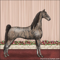 Horse Color:Black and Classic Champagne