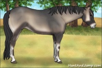 Horse Color:Blue Onyx Roan 