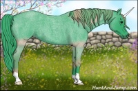 Horse Color:Watercolor Blue Roan