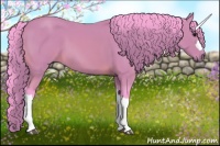 Horse Color:Watercolor Bay 