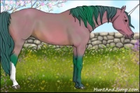 Horse Color:Watercolor Bay 