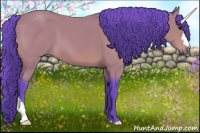 Horse Color:Watercolor Bay 