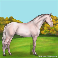 Horse Color:Watercolor Silver Buckskin Pearl Dun Sabino 
