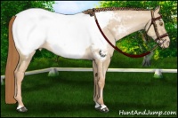 Horse Color:Red Dun Pearl Snowcap