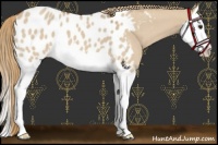 Horse Color:Red Dun Sabino Splash Blanket 