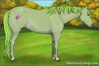 Horse Color:Watercolor Liver Red Dun 