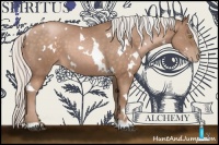 Horse Color:White Spotted Silver Brown Pearl 