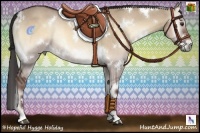 Horse Color:White Spotted Liver Red Dun Onyx Rabicano 