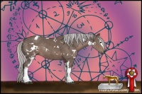 Horse Color:Painted White Spotted Silver Black Rabicano