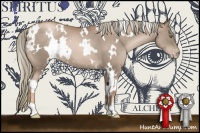 Horse Color:White Spotted Liver Chestnut Pearl