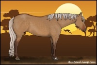 Horse Color:Silver Buckskin Dun