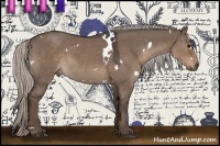 Horse Color:White Spotted Silver Grullo 