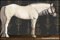 Horse Color:Chocolate Palomino Pearl Dun