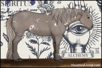 Horse Color:White Spotted Silver Grullo Roan