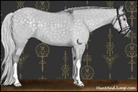 Horse Color:Silver Grullo Chinchilla 