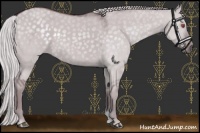 Horse Color:Chocolate Silver Grullo Chinchilla Rabicano 