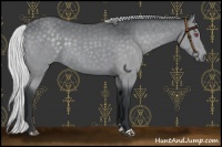 Horse Color:Silver Black Chinchilla Sabino