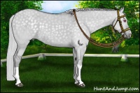Horse Color:Silver Smoky Grullo Chinchilla
