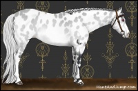 Horse Color:Silver Brown Chinchilla Near Leopard