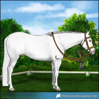 Horse Color:Silver Brown Chinchilla Near Fewspot 