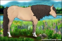 Horse Color:Amber Champagne