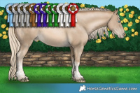 Horse Color:Chocolate Palomino Pearl Mushroom Tobiano