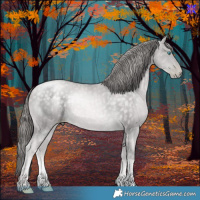 Horse Color:Platinum Buckskin Pearl Sabino 