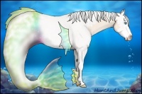 Horse Color:Cremello Splash  and Cremello Splash 