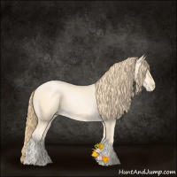 Horse Color:Buckskin Pearl Sabino 
