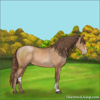 Horse Color:Brown Pearl Mushroom Sabino 