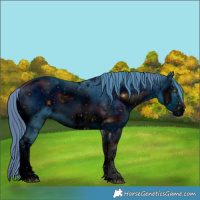 Horse Color:ERROR: UNKNOWN ANOMALY