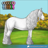 Horse Color:Palomino Pearl Sabino Leopard 