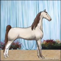 Horse Color:Amber Champagne Dun Appaloosa