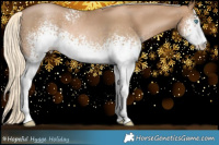 Horse Color:White Spotted Chocolate Palomino Pearl Sabino