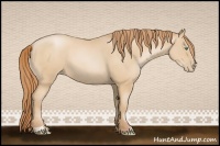 Horse Color:Smoky Black Pearl Sabino 