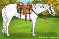 Horse Color:Palomino Pearl Sabino