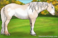 Horse Color:Silver Sable Cream Champagne Pearl Frame 