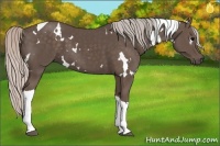 Horse Color:White Spotted Silver Black Tobiano 