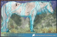 Horse Color:Void Painted Thunderstruck White Spotted Liver Chestnut Ice Pearl Mushroom Sabino 