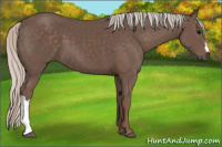 Horse Color:Silver Black 
