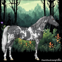 Horse Color:White Spotted Silver Blue Chinchilla Roan 