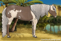 Horse Color:White Spotted Silver Blue Roan  and Gold Cream Champagne Pearl 