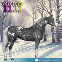 Horse Color:White Spotted Silver Black Chinchilla