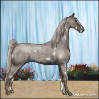 Horse Color:White Spotted Silver Blue Roan 
