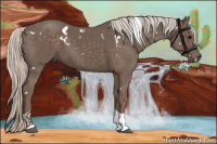 Horse Color:White Spotted Silver Black Tobiano 