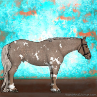Horse Color:White Spotted Silver Blue Roan 