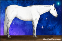 Horse Color:Gray Bay Dun 