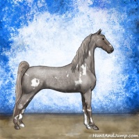 Horse Color:White Spotted Silver Blue Roan 