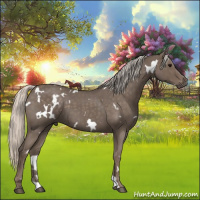 Horse Color:White Spotted Silver Blue Roan 
